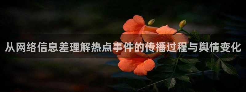 吃瓜视频在线观看