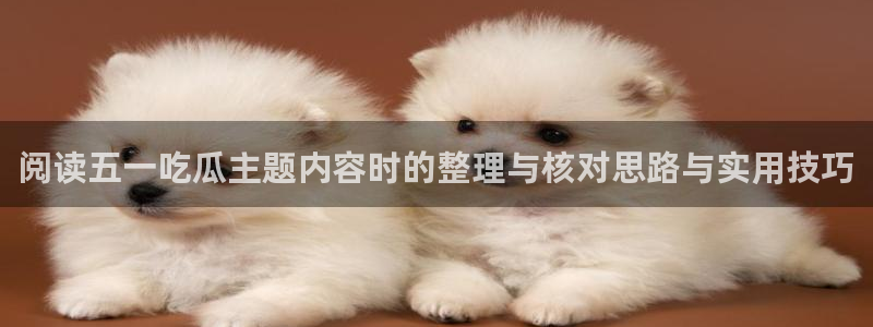 吃瓜群：阅读五一吃瓜主题内容时的整理与核对思路与实用技巧