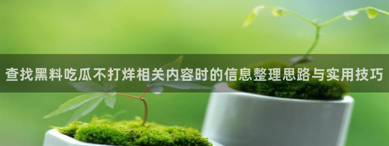 免费吃瓜网：查找黑料吃瓜不打烊相关内容时的信息整理思路与实用技巧