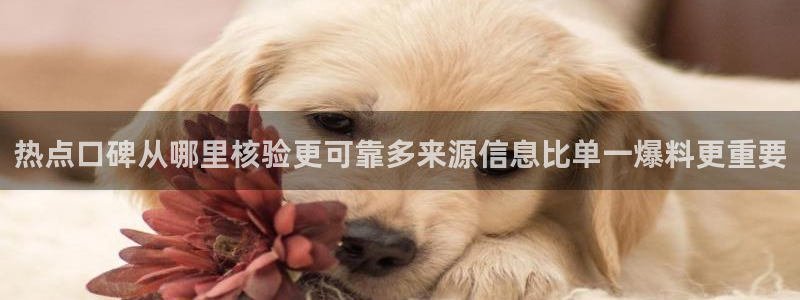 51吃瓜网今日吃瓜：热点口碑从哪里核验更可靠多来源信息比单一爆料更重要