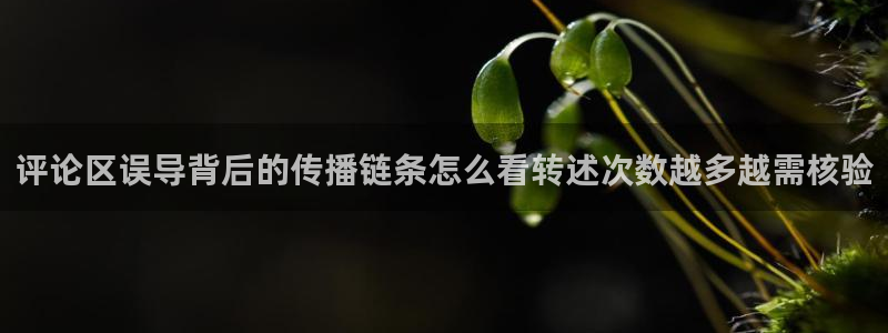吃瓜网51:评论区误导背后的传播链条怎么看转述次数越多越需核验