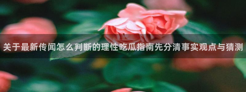 51吃瓜黑料：关于最新传闻怎么判断的理性吃瓜指南先分清事实观点与猜测