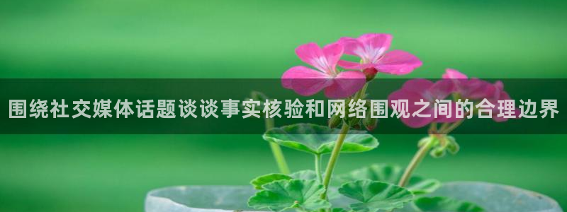 qq吃瓜群：围绕社交媒体话题谈谈事实核验和网络围观之间的合理边界
