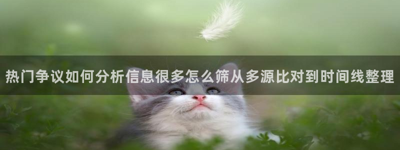 吃瓜网91：热门争议如何分析信息很多怎么筛从多源比对到时间线整理