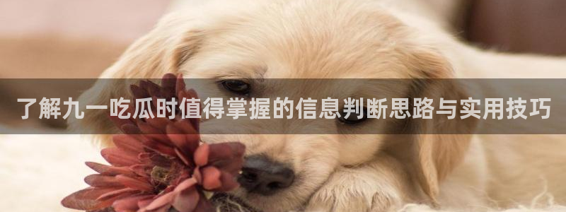 每日吃瓜：了解九一吃瓜时值得掌握的信息判断思路与实用技巧